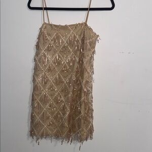Streetwear Society Sequin Fringe Dress in Gold and Cream